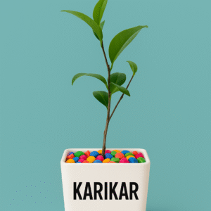 CAMELLIA PLANTS INDOOR