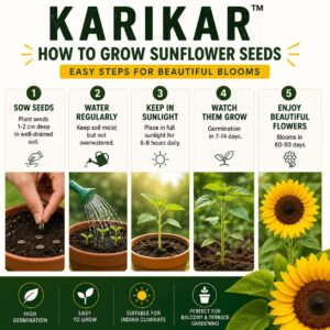 Premium Sunflower Seeds for Home Garden, High Germination, Raw, Fibre Rich, Rich in Magnesium