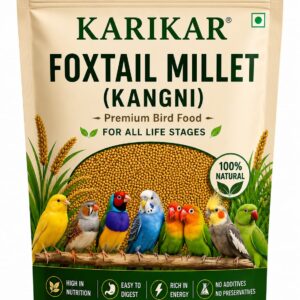 KARIKAR Foxtail Millet (Kangni), Bird Food for All Life Stages Canary, Finches, Waxbills, Budgies, Lovebirds, Cockatiels, Parrots & Parakeets