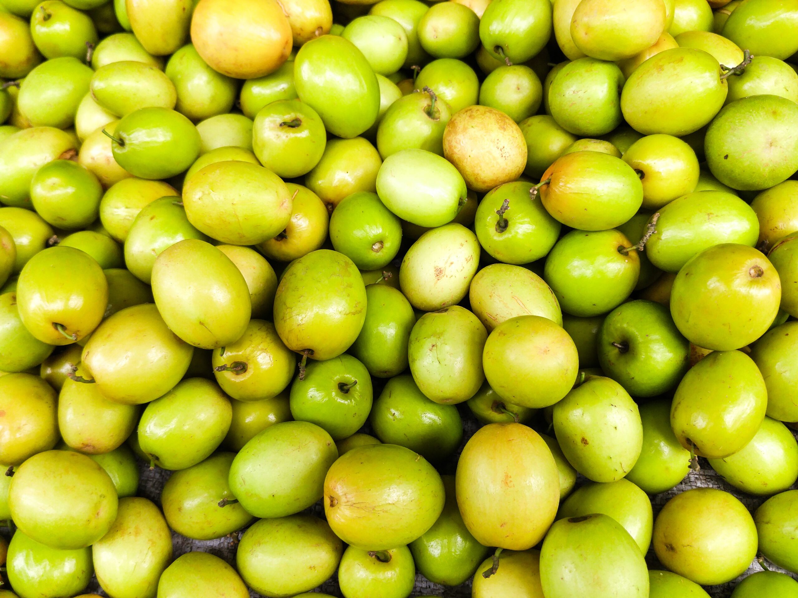 KARIKAR Kul Fruit Live Plant, Indian Jujube Ber Fruit Tree, Desert Apple, Sweet Jujube for Home Garden, Terrace & Balcony