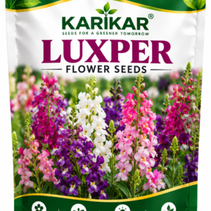 KARIKAR® Luxper Flower Seeds for Home Garden, Colorful Luxper Flowering Plants -30 Grams Seeds