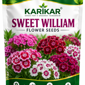 KARIKAR® Sweet William Flower Seeds for Home Garden, Colorful Sweet William Flowering Plants -30 Grams Seeds