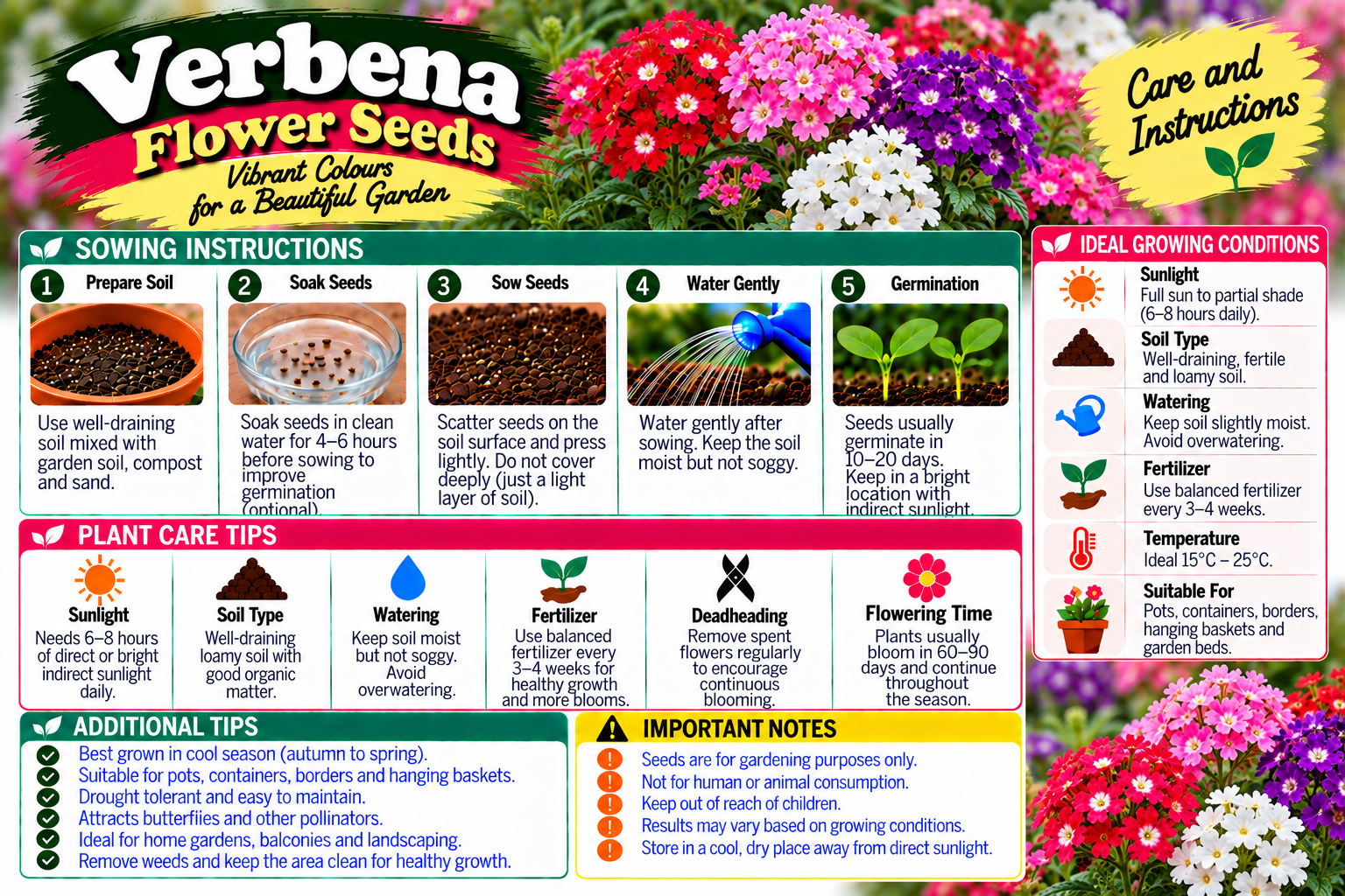 KARIKAR® Verbena Flower Seeds for Home Garden, Vibrant Colourful Blooms -50 Grams Seeds - Image 3