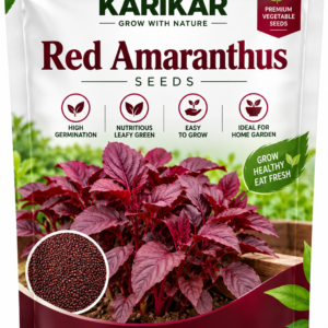 KARIKAR Red Amaranthus Seeds for Home Garden | Premium Leafy Vegetable Seeds | High Germination 50+seeds