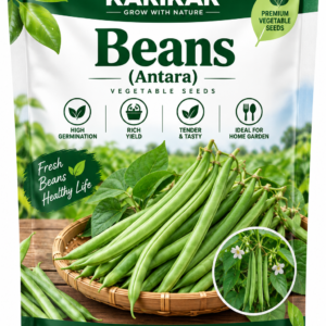 KARIKAR Beans Antara Vegetable Seeds for Home Garden, Kitchen Garden & Terrace | Green Bean Seeds for Pots & Containers | High Germination 50+ Seeds
