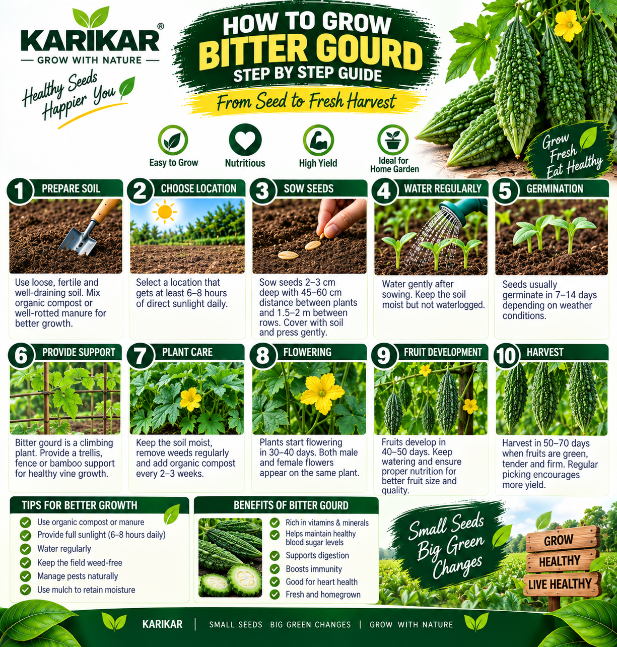 KARIKAR Bitter Gourd Seeds for Home Garden | Premium Karela Vegetable Seeds | High Germination 50+ Seeds - Image 3