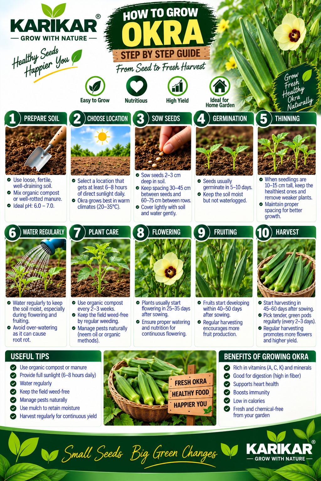 KARIKAR Okra Seeds for Home Garden | Premium Lady Finger Vegetable Seeds | High Germination 50+Seeds - Image 3