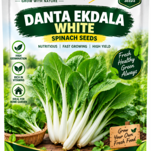 KARIKAR Danta Ekdala White Spinach Seeds for Home Garden, Kitchen Garden & Terrace | High Germination 50+Seeds