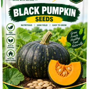 KARIKAR Black Pumpkin Seeds for Home Garden, Kitchen Garden & Terrace | Black Pumpkin Vegetable Seeds for Pots & Containers | High Germination 50+Seeds