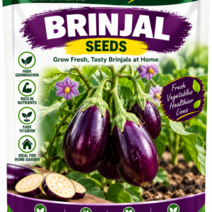 KARIKAR Brinjal Vegetable Seeds for Home Garden, Kitchen Garden & Terrace | Eggplant Seeds for Pots & Containers | High Germination 50+Seeds