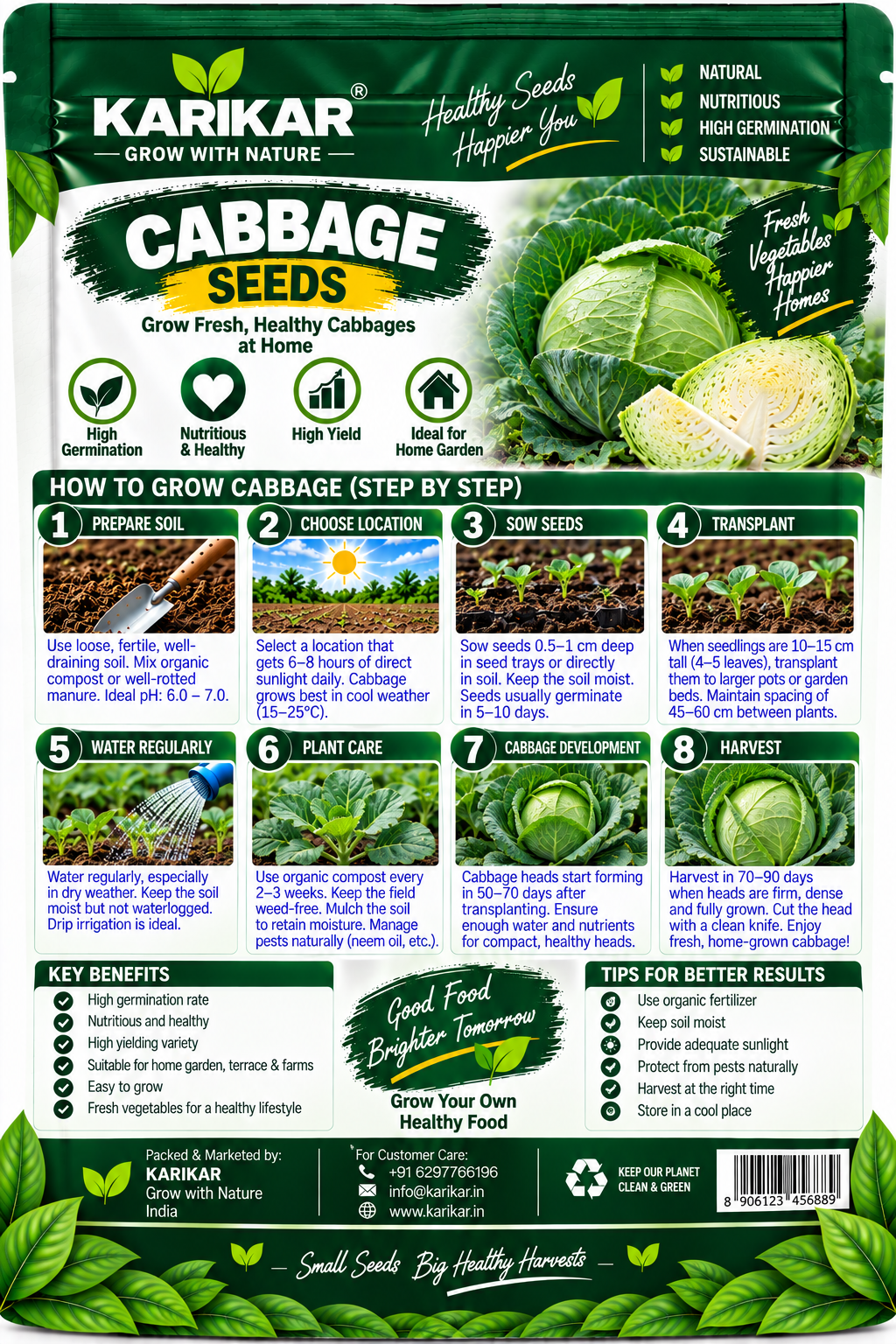 KARIKAR Cabbage Seeds for Home Garden | Premium Cabbage Vegetable Seeds | High Germination 50+ Seeds - Image 2