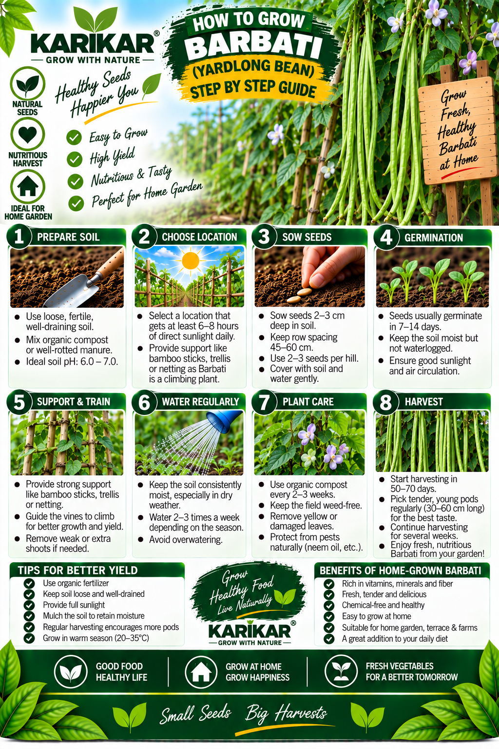 KARIKAR Barbati Yardlong Bean Vegetable Seeds for Home Garden, Terrace & Kitchen Garden | High Germination 50+ Seeds - Image 3