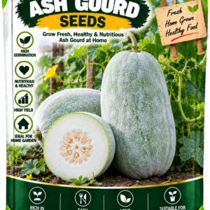 KARIKAR Ash Gourd Seeds for Home Garden | Premium Winter Melon Seeds | High Germination 50+Seeds