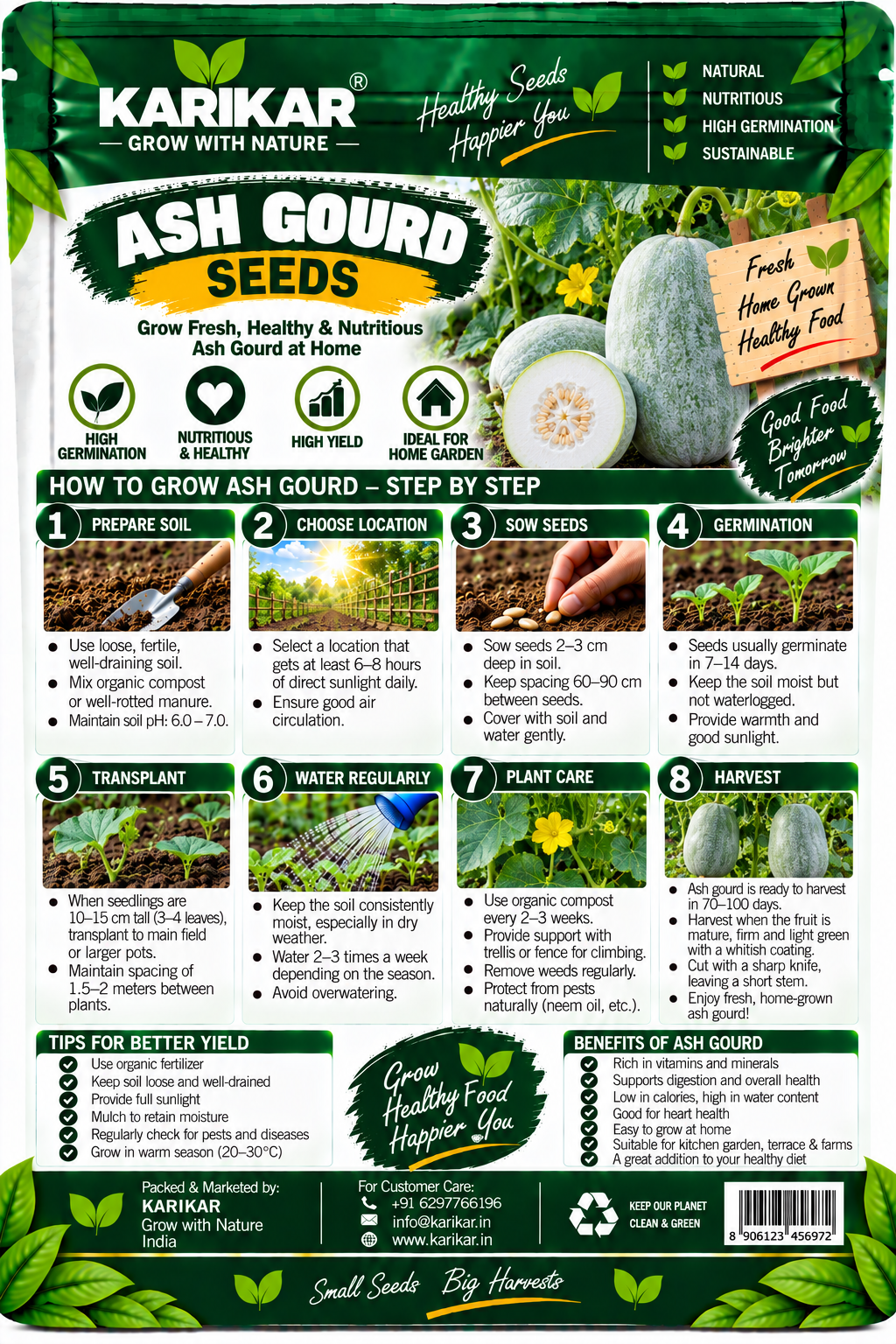 KARIKAR Ash Gourd Seeds for Home Garden | Premium Winter Melon Seeds | High Germination 50+Seeds - Image 2