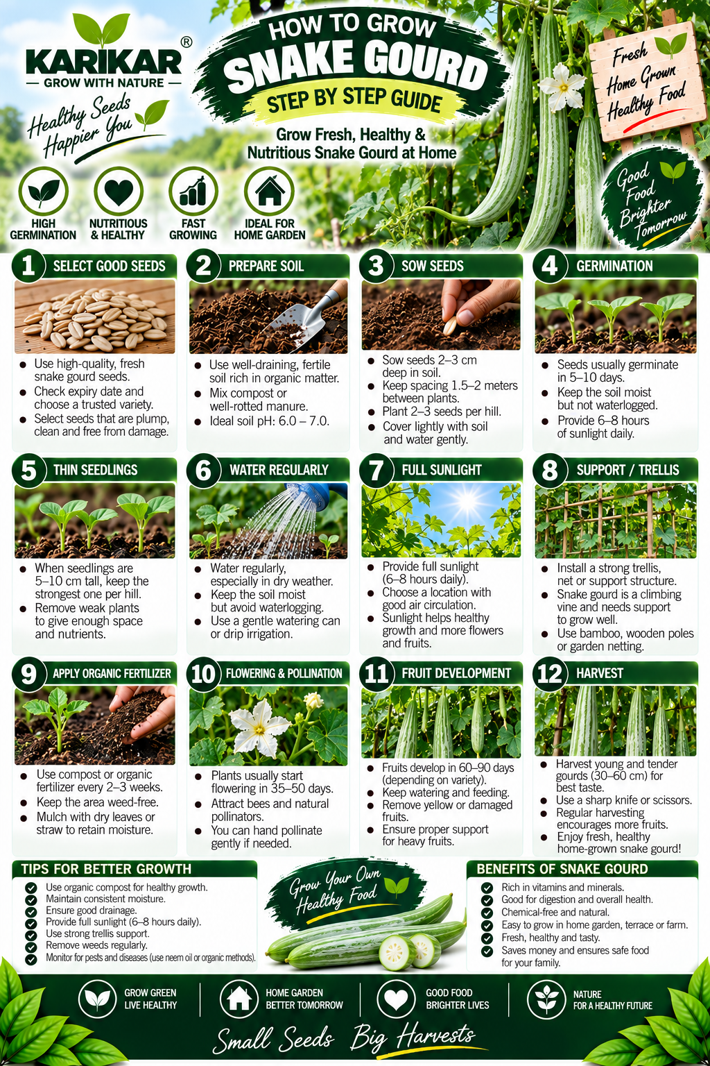 KARIKAR Snake Gourd Seeds for Home Garden | Premium Snake Gourd Vegetable Seeds | High Germination 50+Seeds - Image 3