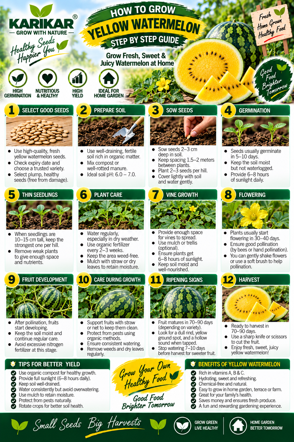 KARIKAR Yellow Watermelon Seeds for Home Garden, Kitchen Garden & Terrace | Yellow Flesh Watermelon Vegetable Fruit Seeds for Pots & Garden | High Germination 50+ Seeds - Image 3