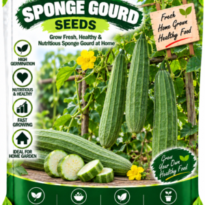 KARIKAR Sponge Gourd Seeds for Home Garden, Kitchen Garden & Terrace | Ridge Gourd Vegetable Seeds for Pots & Containers | High Germination 50+ SeedsSeeds
