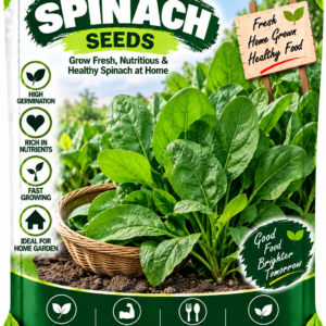 KARIKAR Spinach Seeds for Home Garden, Kitchen Garden & Terrace | Leafy Green Vegetable Seeds for Pots & Containers | High Germination 50+ Seeds