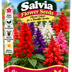 KARIKAR® Salvia Flower Seeds for Home Garden, Colorful Salvia Flowering Plants -30 Grams Seeds