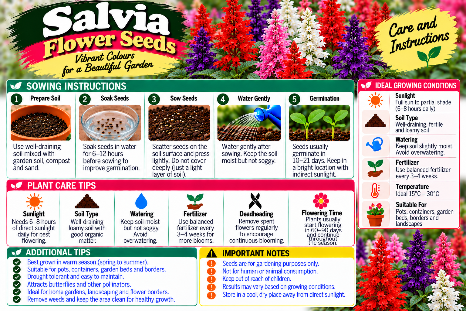KARIKAR® Salvia Flower Seeds for Home Garden, Colorful Salvia Flowering Plants -30 Grams Seeds - Image 3
