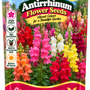 KARIKAR® Antirrhinum Flower Seeds for Home Garden, Colorful Snapdragon Flowering Plants for Pots, Garden Beds 30 Grams Seeds