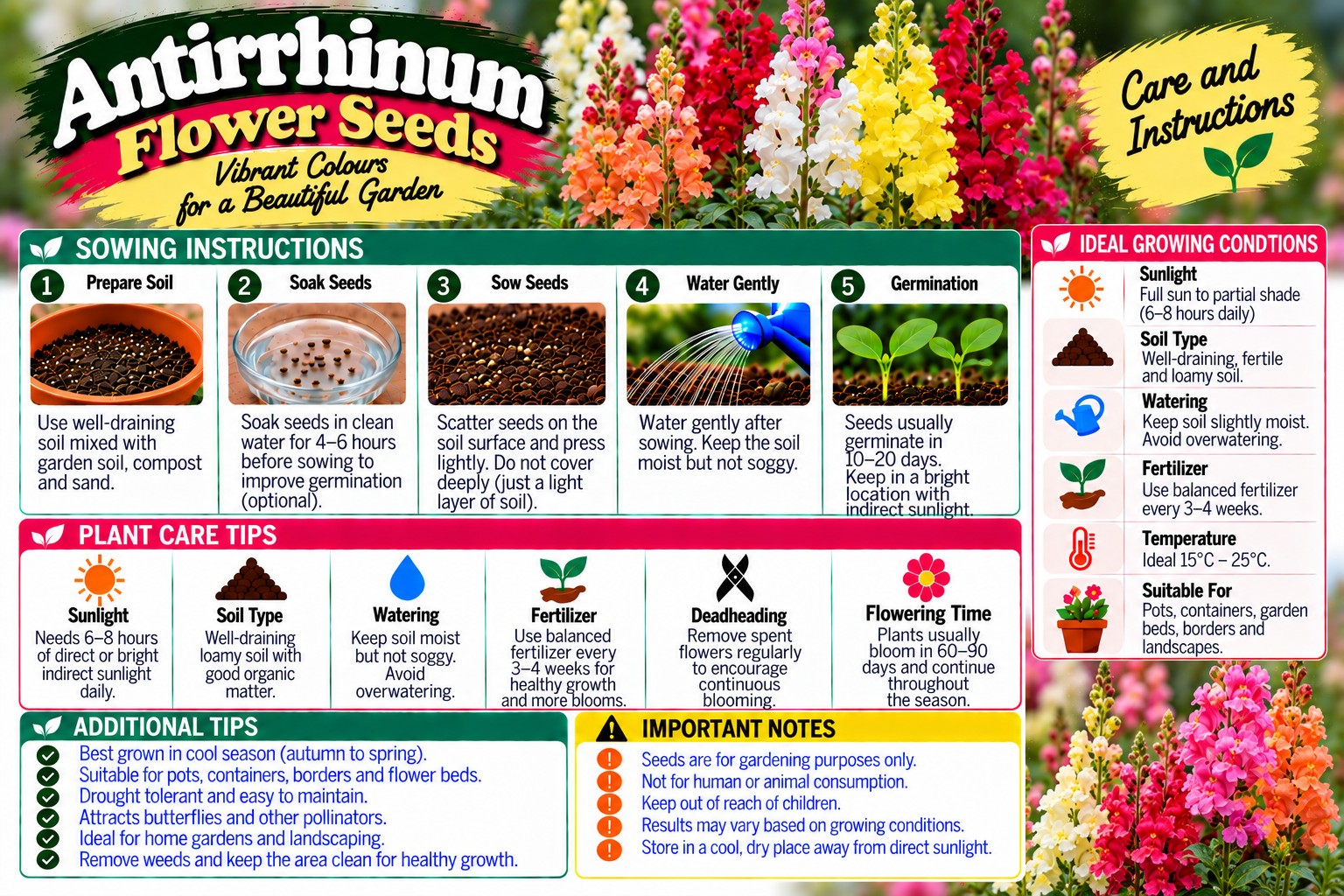 KARIKAR® Antirrhinum Flower Seeds for Home Garden, Colorful Snapdragon Flowering Plants for Pots, Garden Beds 30 Grams Seeds - Image 3