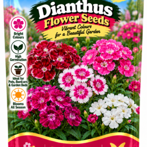 KARIKAR® Dianthus Flower Seeds for Home Garden, Colorful Dianthus Flowering Plants for Pots, Borders, Garden Beds, Balcony & Terrace-30 Grams Seeds