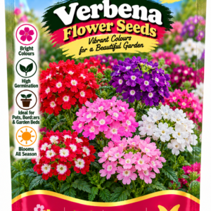 KARIKAR® Verbena Flower Seeds for Home Garden, Vibrant Colourful Blooms -50 Grams Seeds