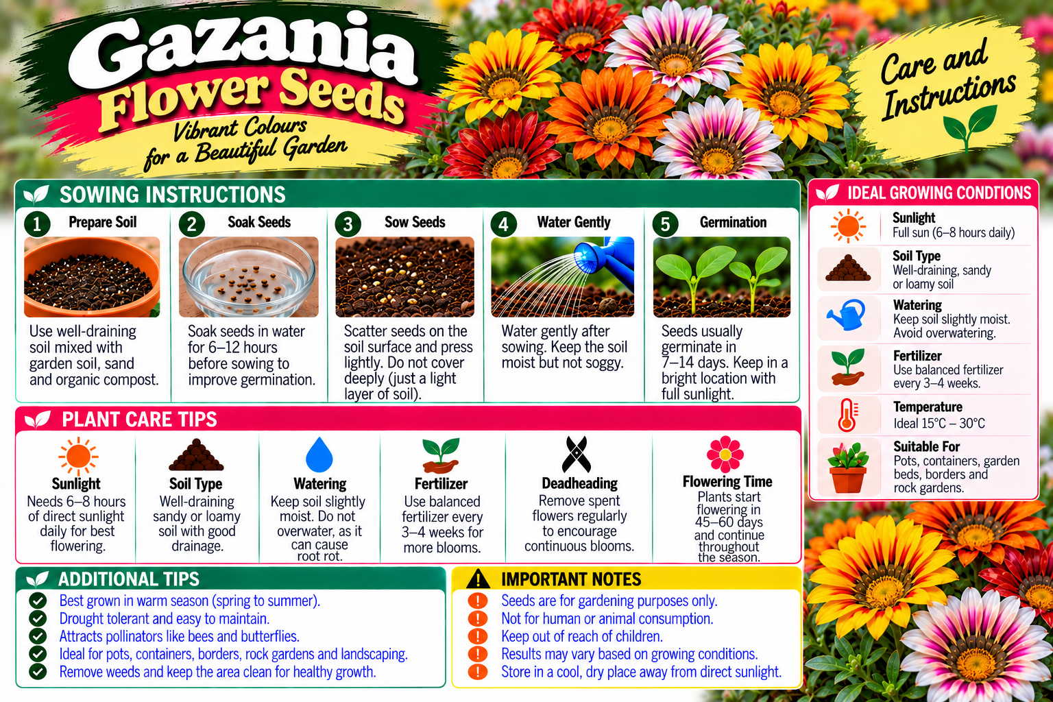 KARIKAR® Gazania Flower Seeds for Home Garden, Colorful Gazania Flowering Plants for Outdoor Gardening-10 Grams Seeds - Image 3