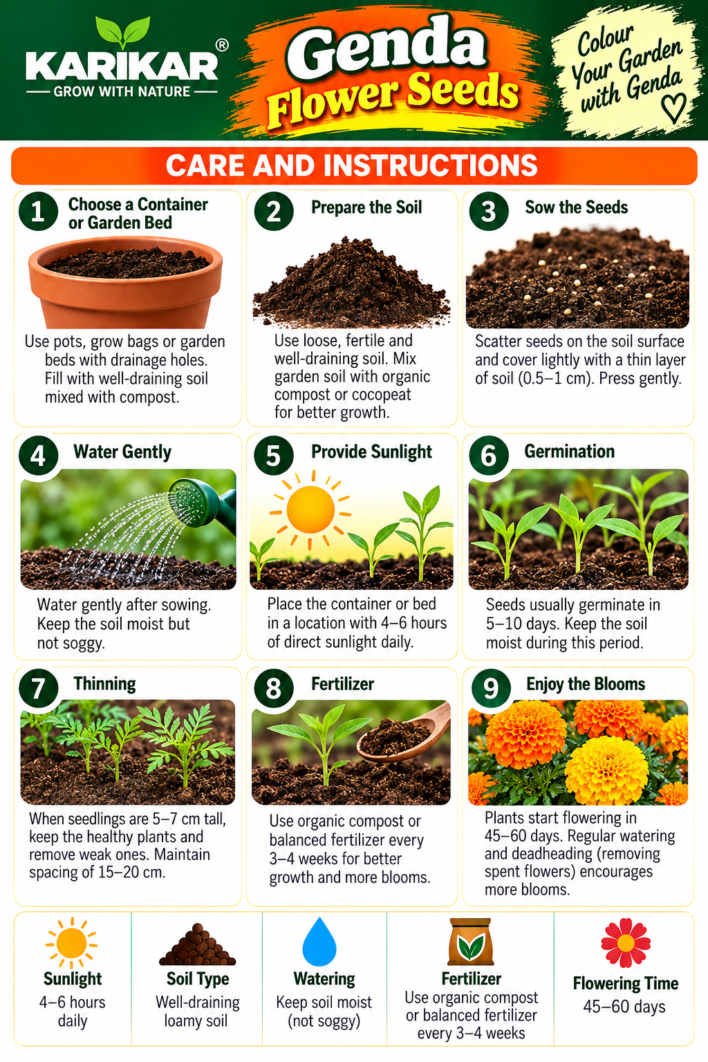 KARIKAR® Genda Flower Seeds for Home Garden, Bright Marigold Flowering Plants – 30 Grams Seeds - Image 3