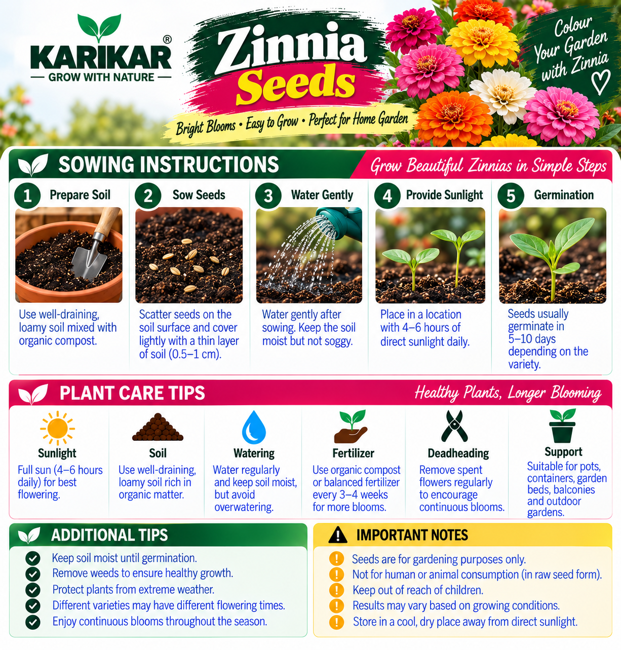 KARIKAR® Zinnia Flower Seeds, 30 Seeds for Home Garden, Vibrant Colourful Blooms -30 Grams Seeds - Image 3