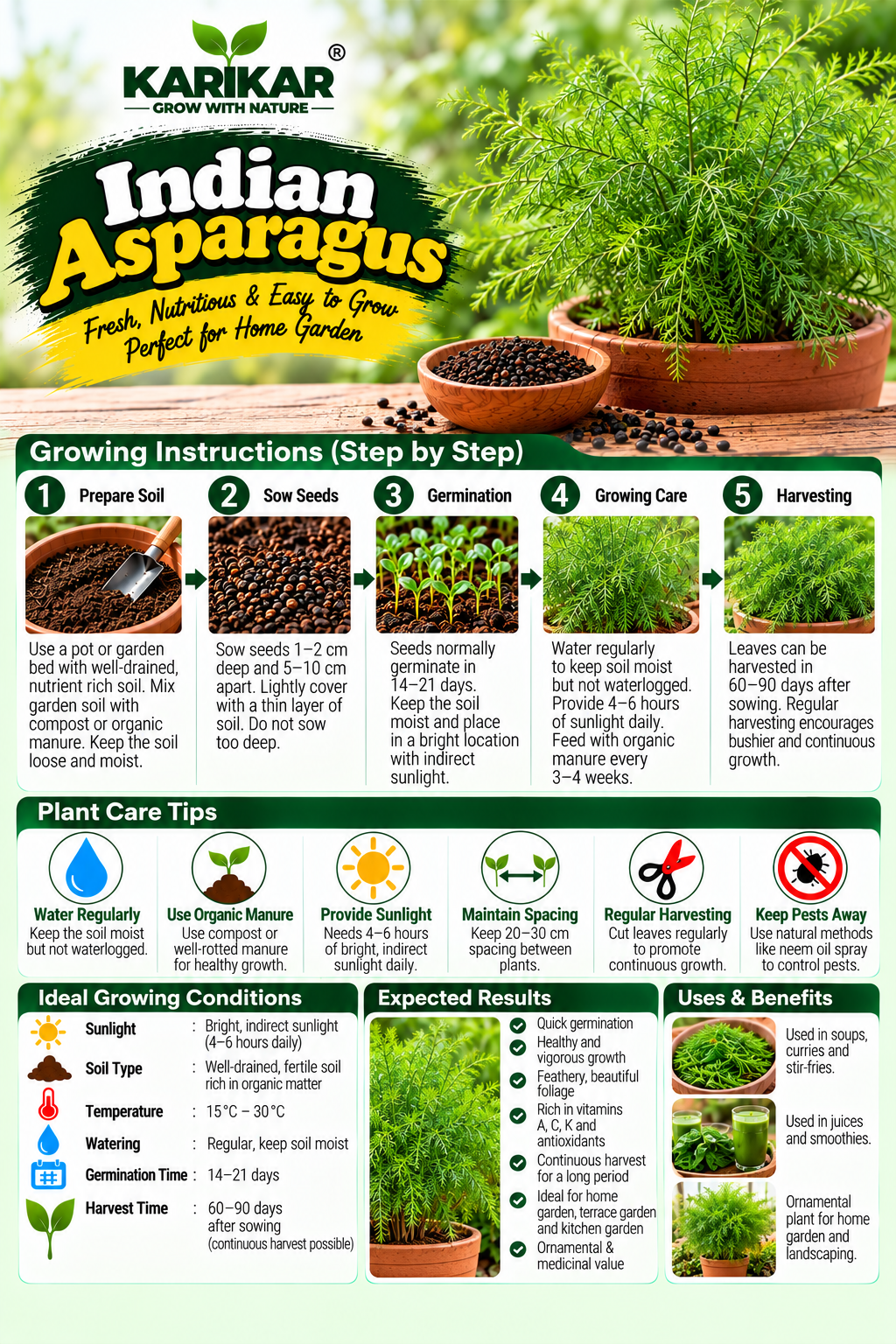 KARIKAR Premium Indian Asparagus Seeds for Home Gardening, Easy to Grow Vegetable 20+Seeds - Image 3