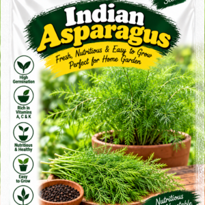 KARIKAR Premium Indian Asparagus Seeds for Home Gardening, Easy to Grow Vegetable 20+Seeds