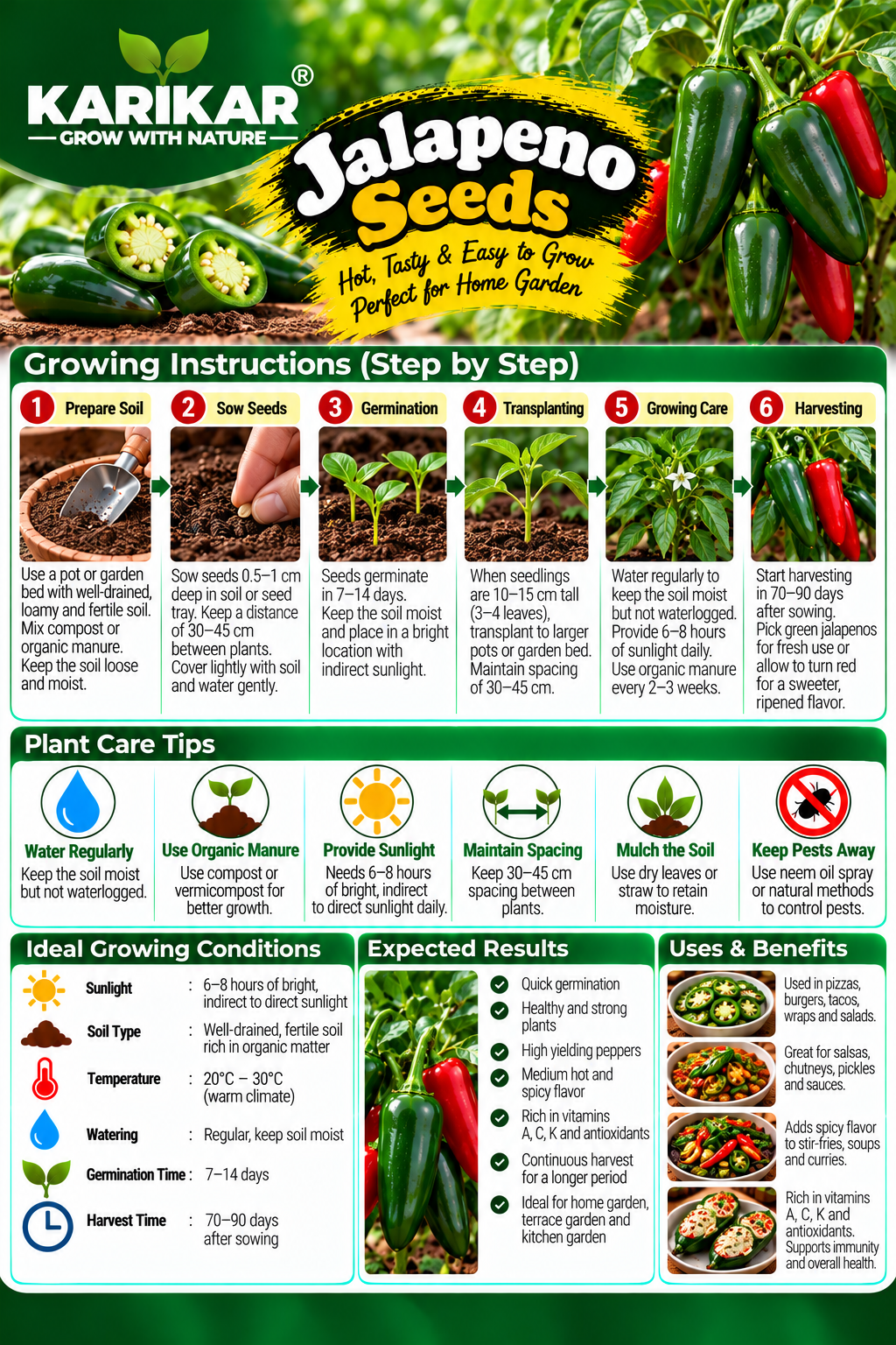 KARIKAR Premium Jalapeno Seeds for Home Gardening, Spicy Green Chilli Vegetable 20+Seeds - Image 3