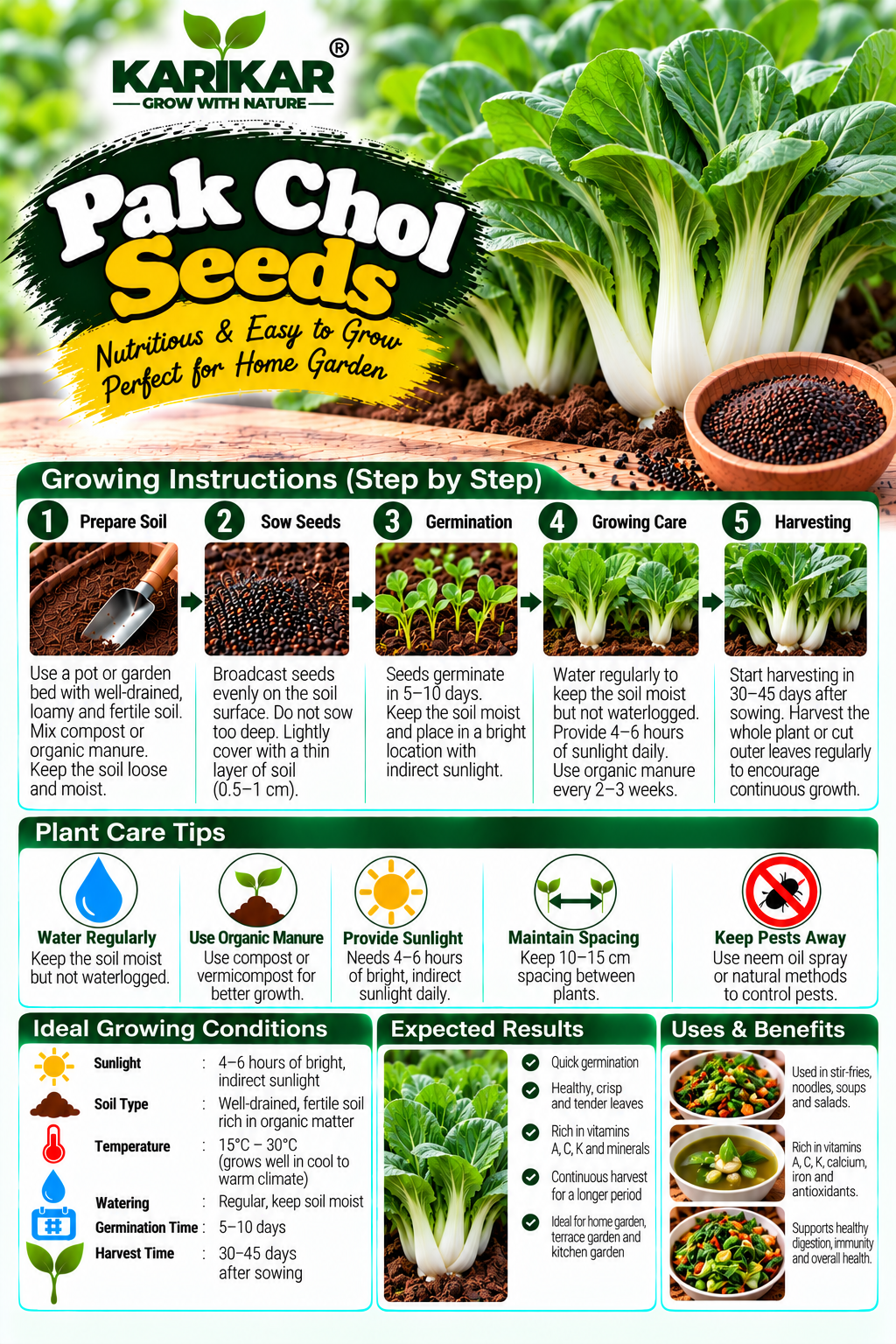 KARIKAR Premium Pak Choi Seeds for Home Gardening, Bok Choy Chinese Cabbage Vegetable 20+Seeds - Image 3