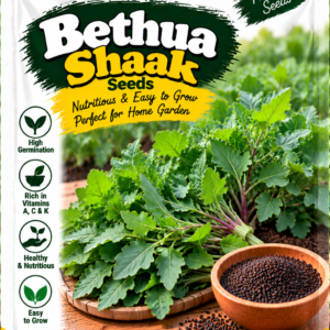 KARIKAR Premium Bethua Shaak Seeds for Home Gardening, High Germination Vegetable 20+ Seeds
