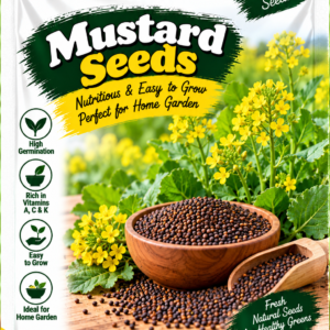 KARIKAR Premium Mustard Seeds for Home Gardening, Rai Sarson Vegetable 20+Seeds