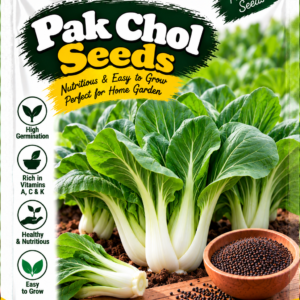 KARIKAR Premium Pak Choi Seeds for Home Gardening, Bok Choy Chinese Cabbage Vegetable 20+Seeds