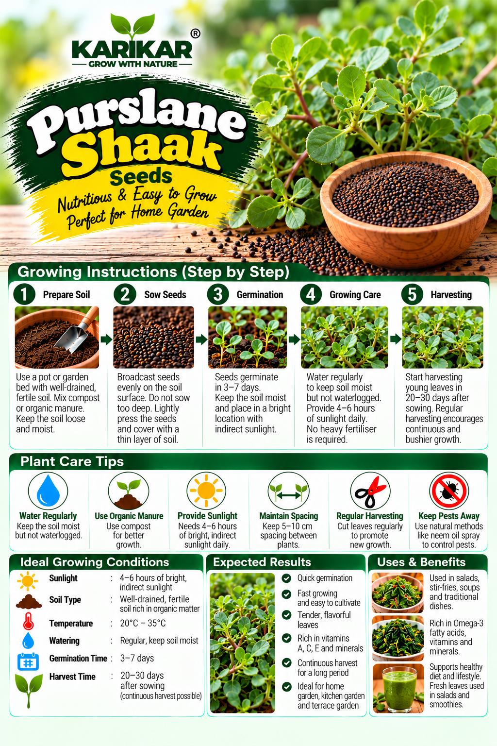 KARIKAR Premium Purslane Shaak Seeds for Home Gardening, Kulfa Vegetable 20+Seeds - Image 3