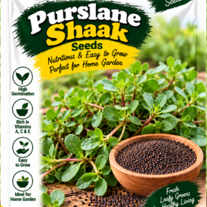 KARIKAR Premium Purslane Shaak Seeds for Home Gardening, Kulfa Vegetable 20+Seeds