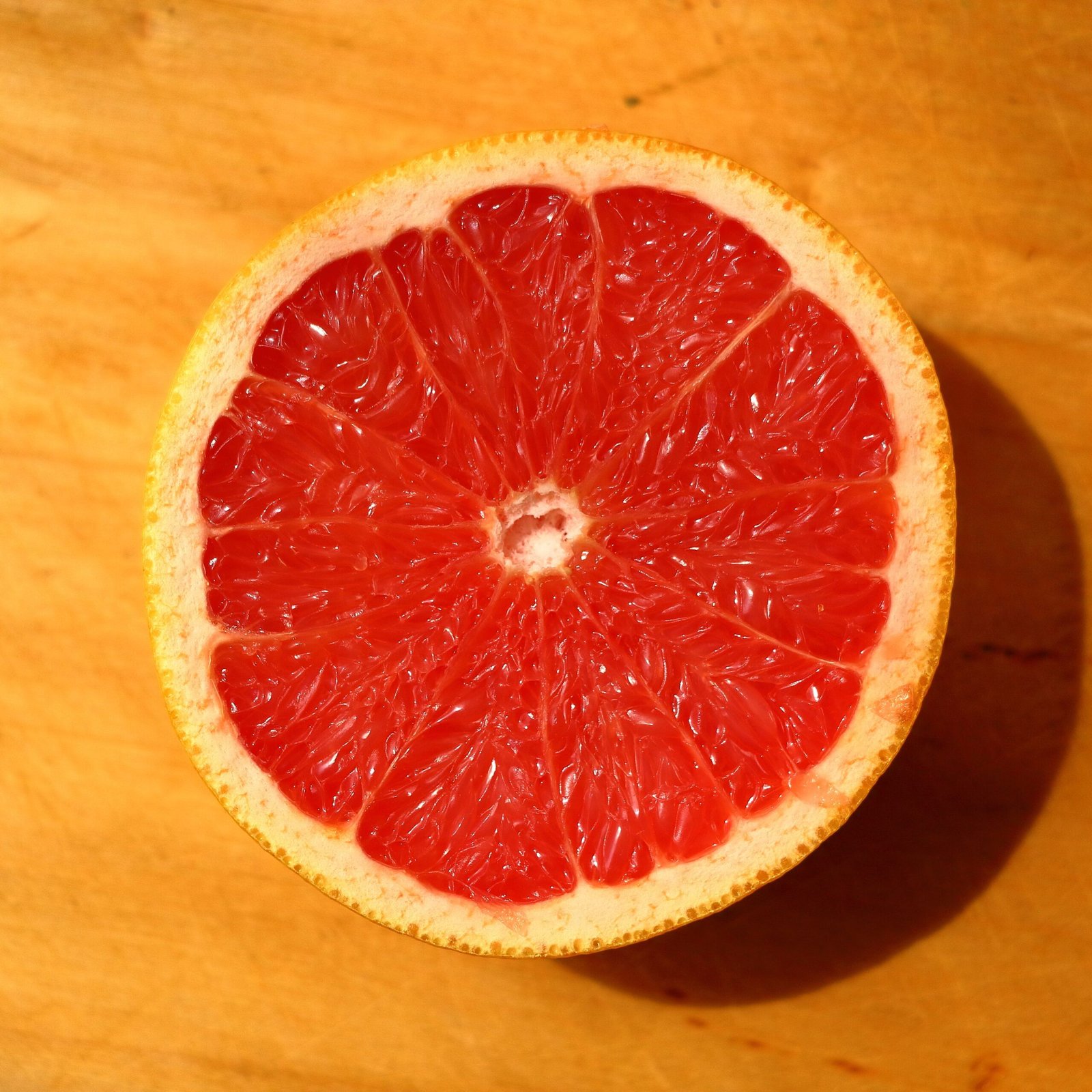 KARIKAR Red Pomelo Grafted Live Fruit Plant – Healthy Pomelo Tree Plant for Home Garden - Image 3